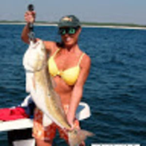 Meet your Posher, Rose